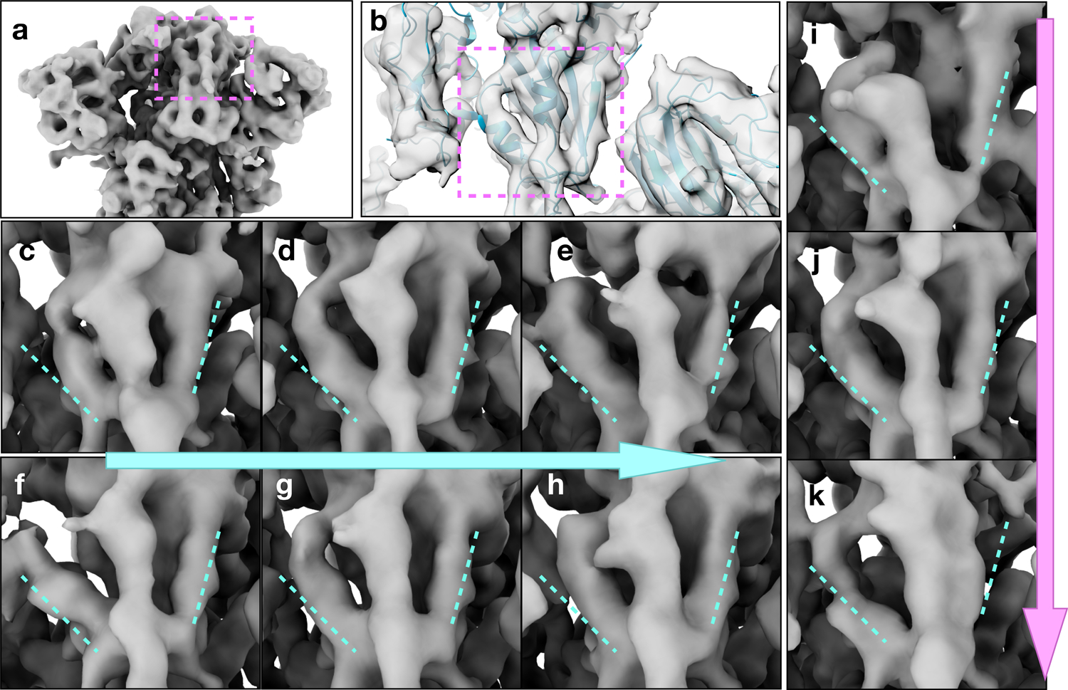 Fig 5.