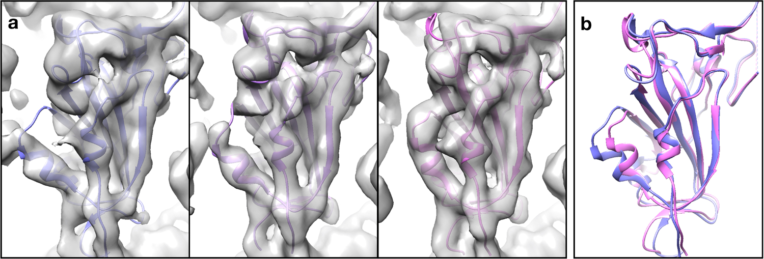 Extended Data Fig 7.