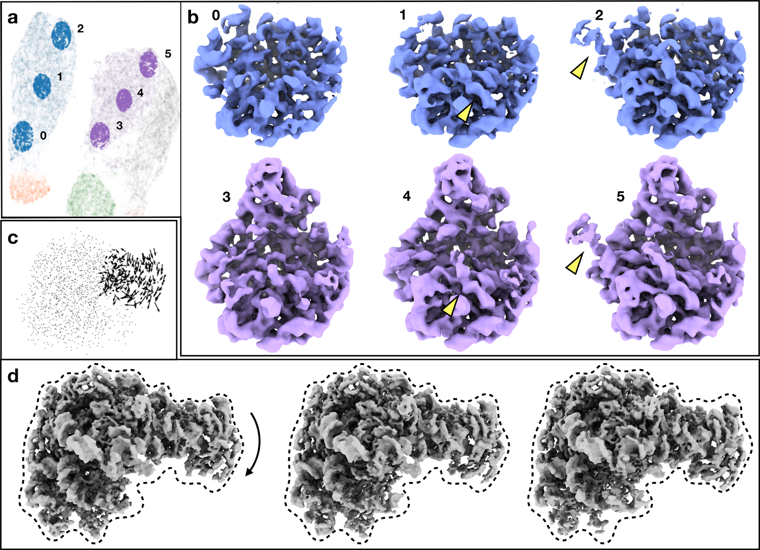 Fig 3.