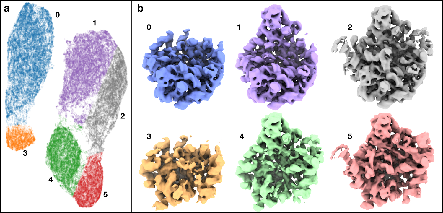 Fig 2.