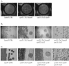 FIG. 6.