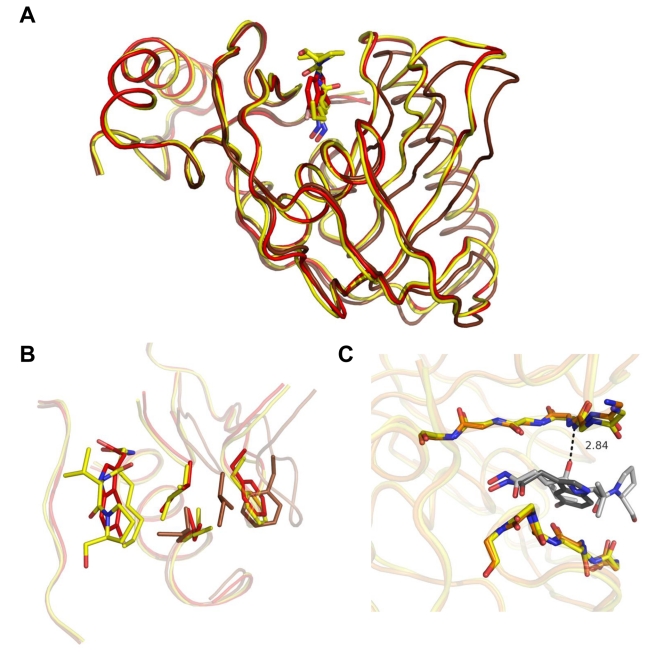 Figure 6