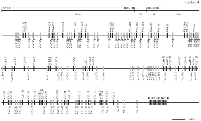 Figure 15