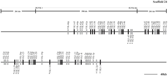 Figure 13