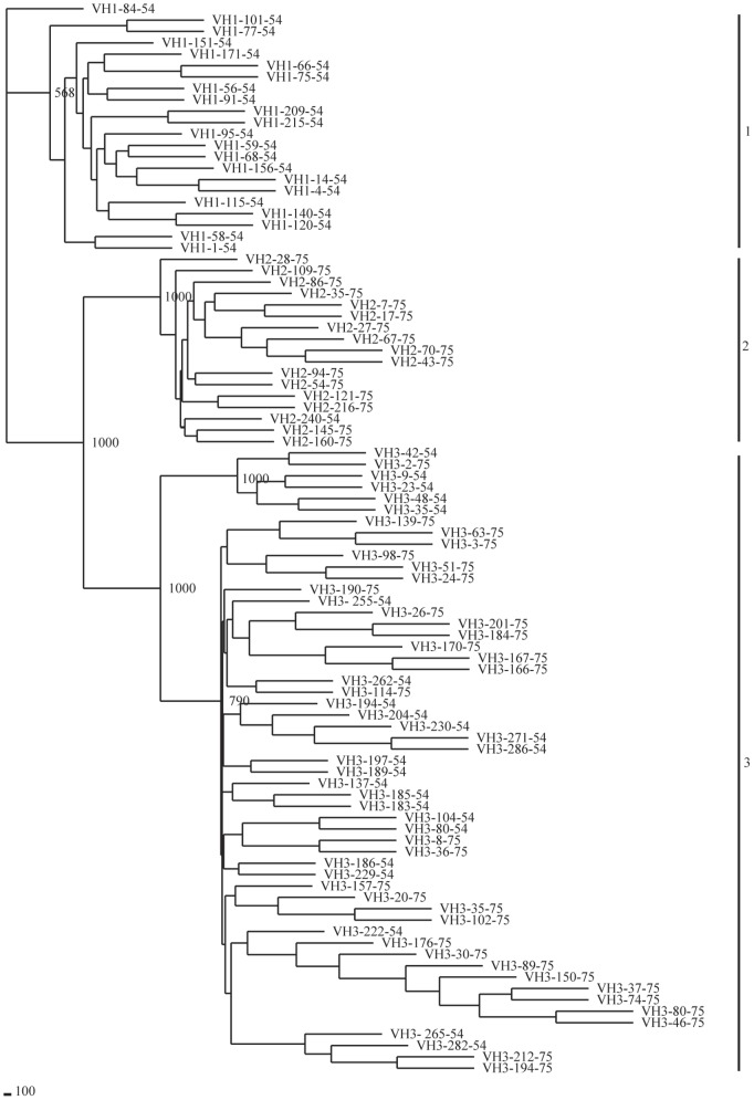 Figure 7