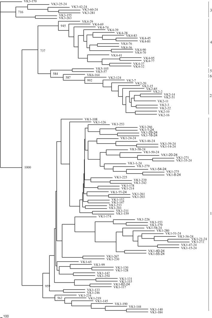 Figure 14