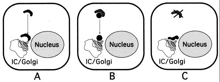 FIG. 9