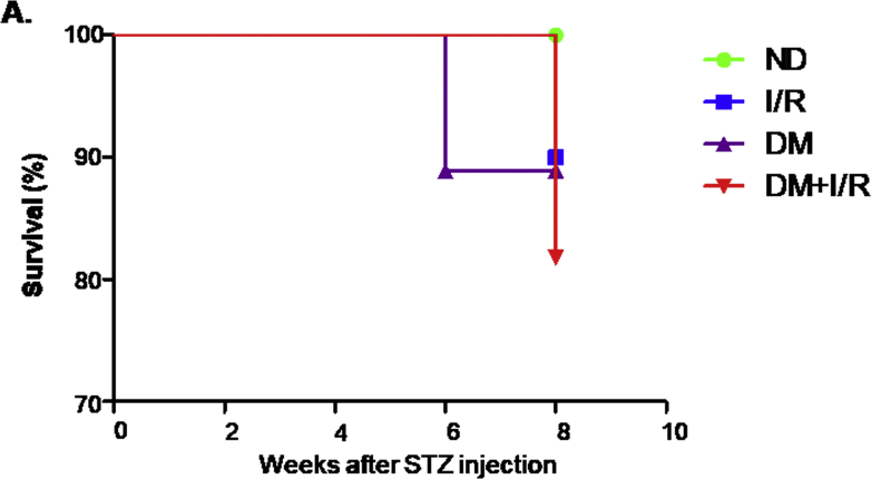 Supplementary Fig. 3