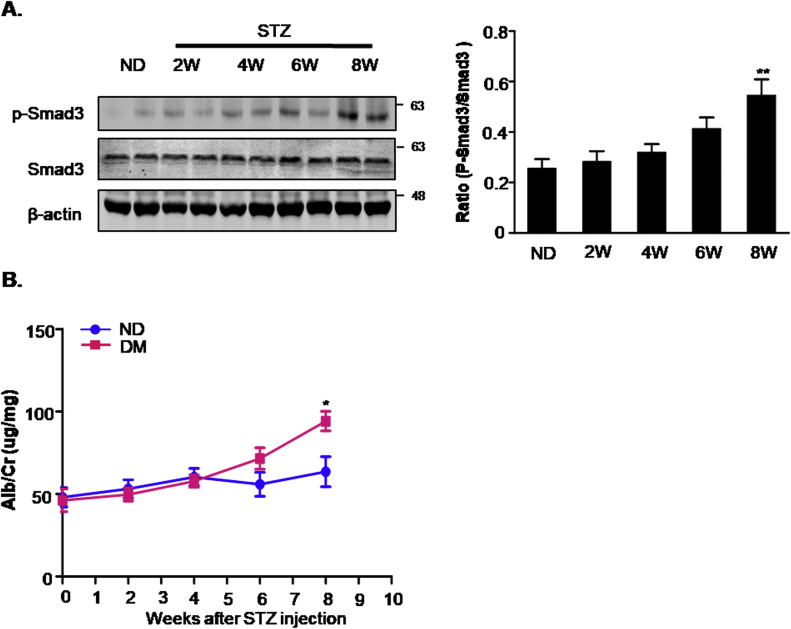 Supplementary Fig. 1