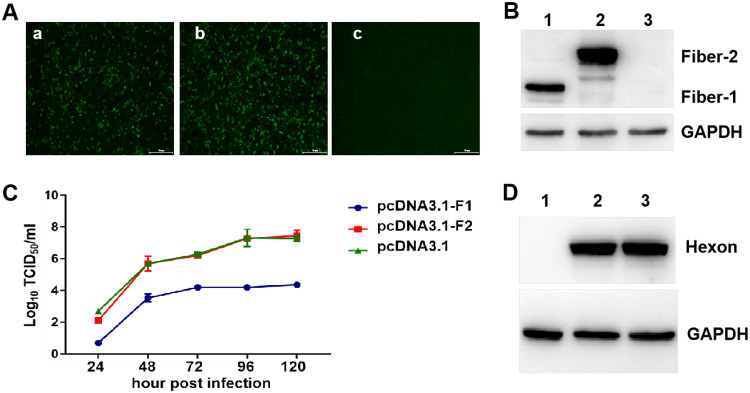 FIG 1