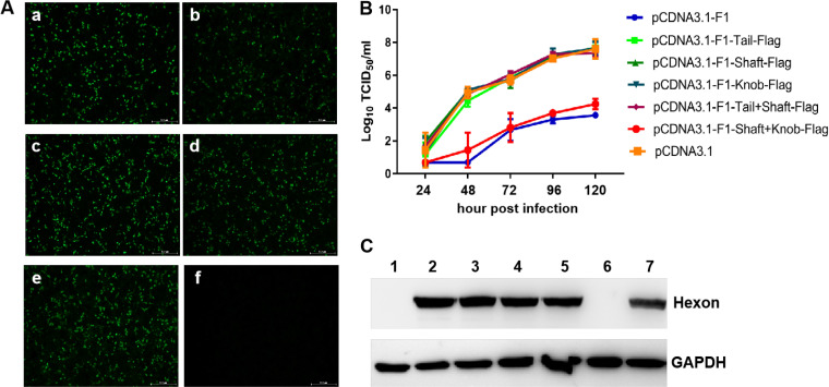 FIG 3