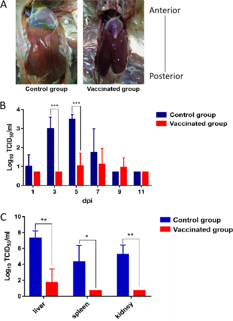 FIG 6