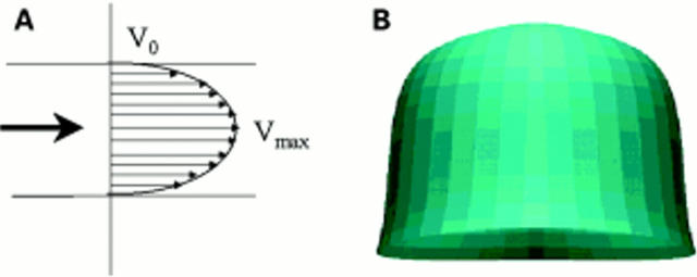 Figure 4  