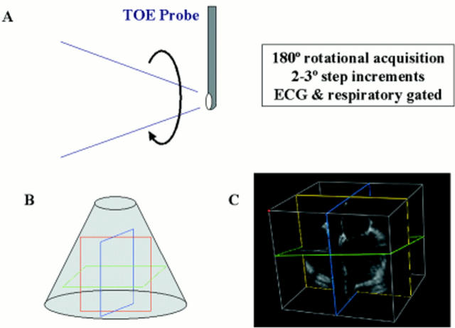 Figure 1  