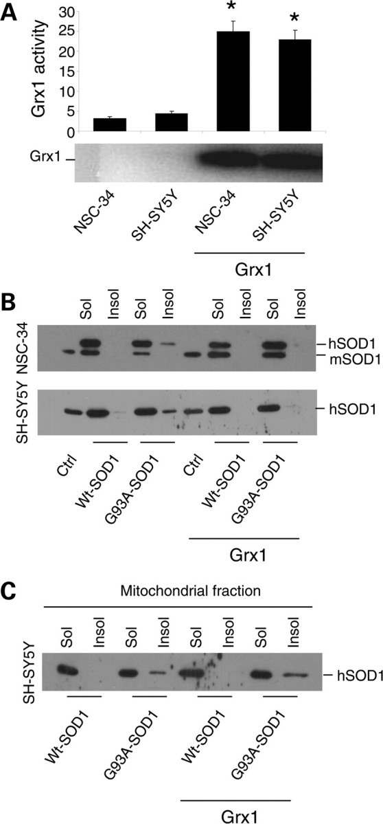 Figure 1.