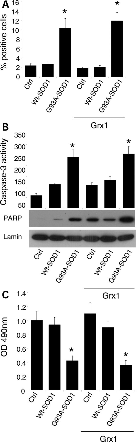 Figure 2.