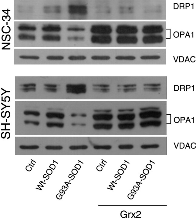 Figure 6.