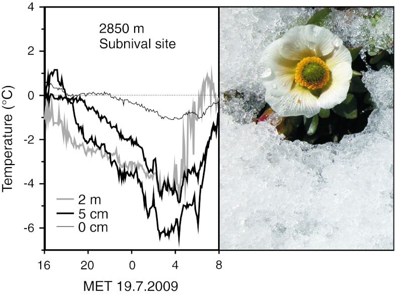 Fig. 4