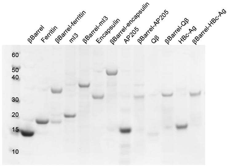 Fig 2