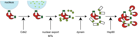 FIG. 8.