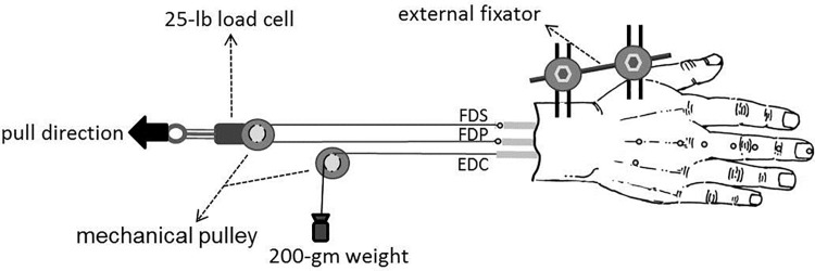 Fig 1