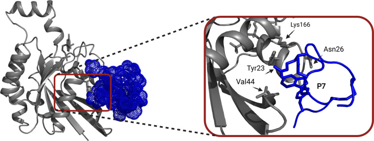 Figure 5.