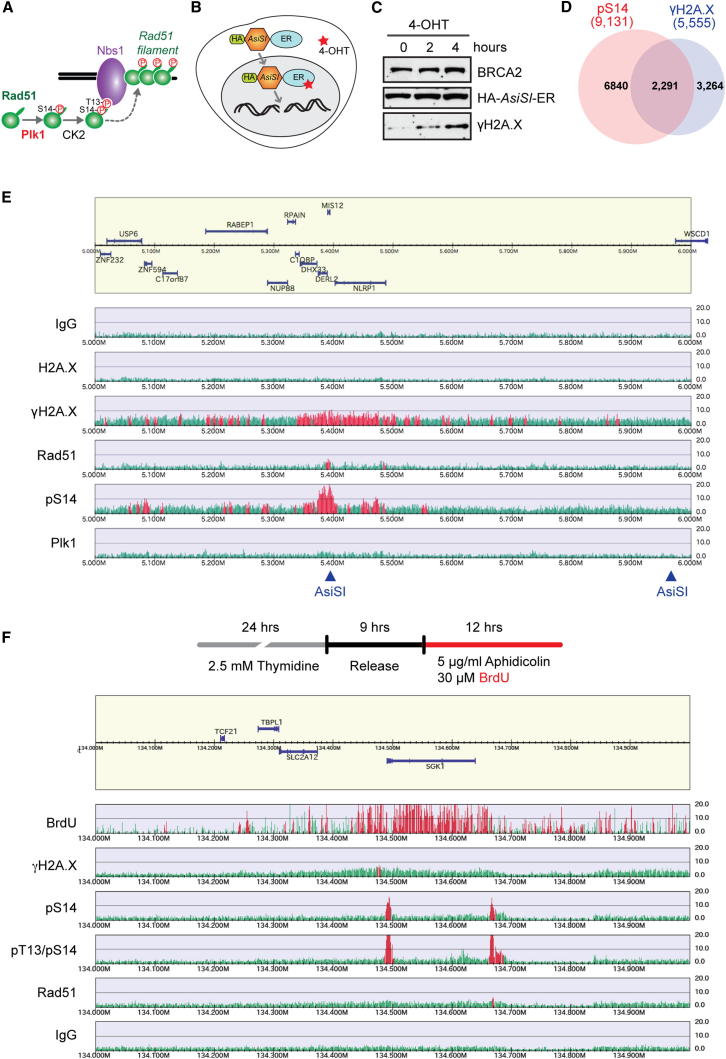 Figure 4