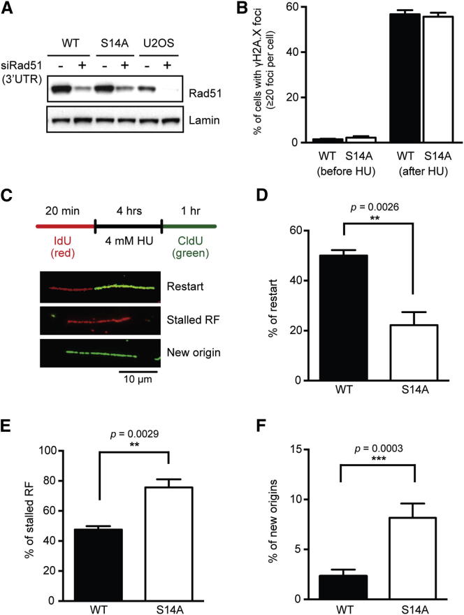 Figure 6