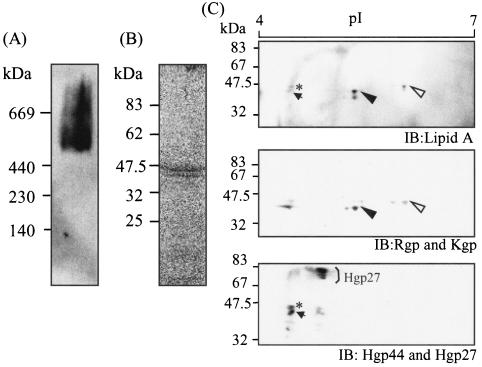 FIG. 7.