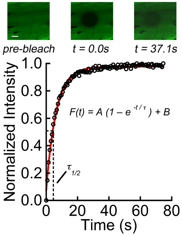 Figure 3: