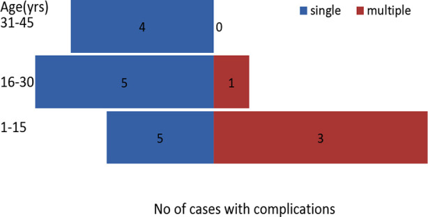 Fig.1