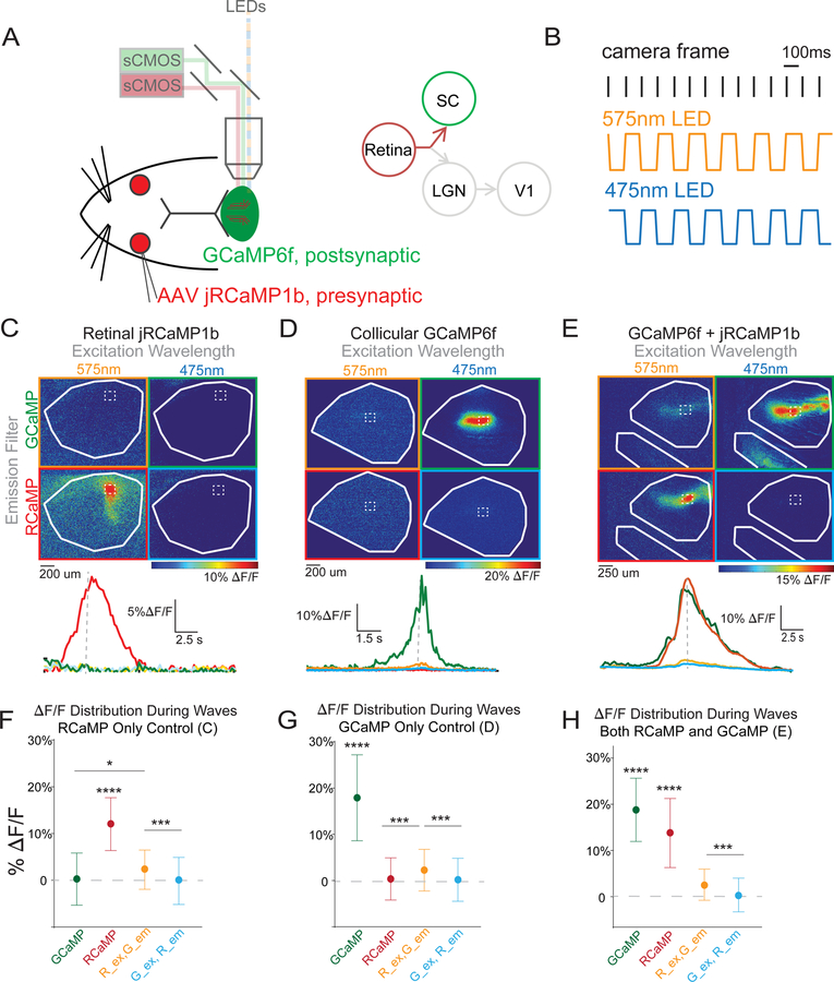 Figure 1: