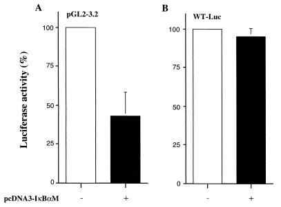 FIG. 6