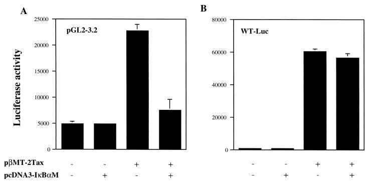 FIG. 5