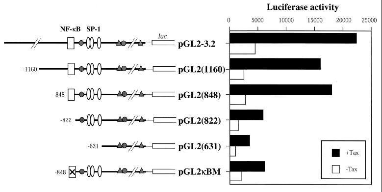 FIG. 3