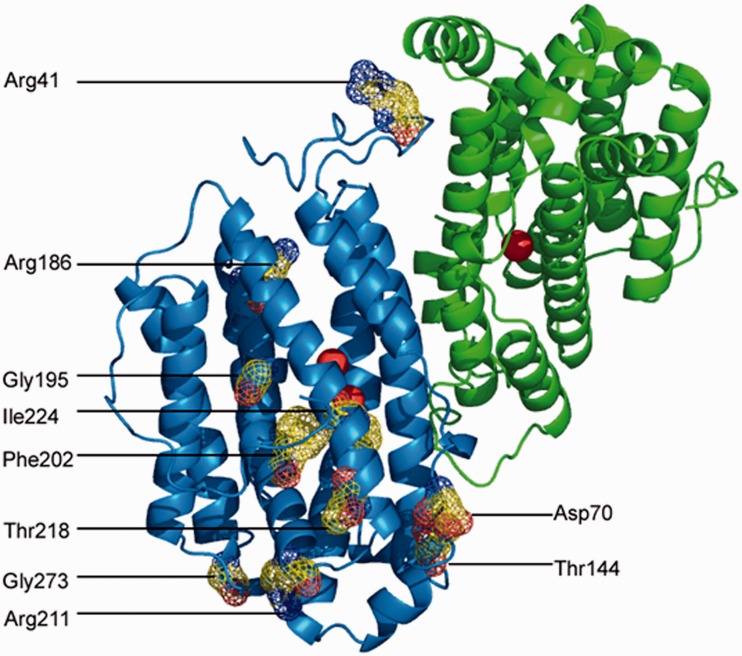 Figure 5