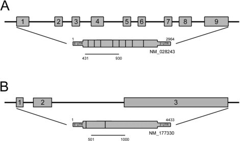 Supplemental Figure 1