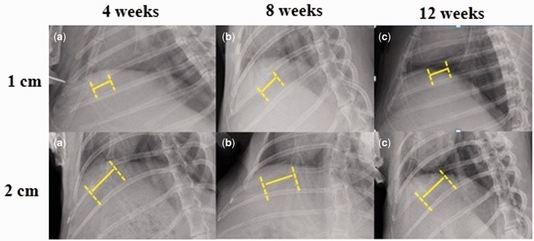 Figure 5.