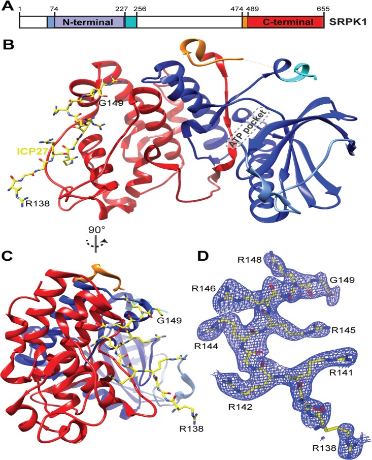 FIG 3