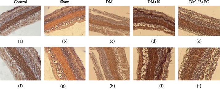 Figure 5