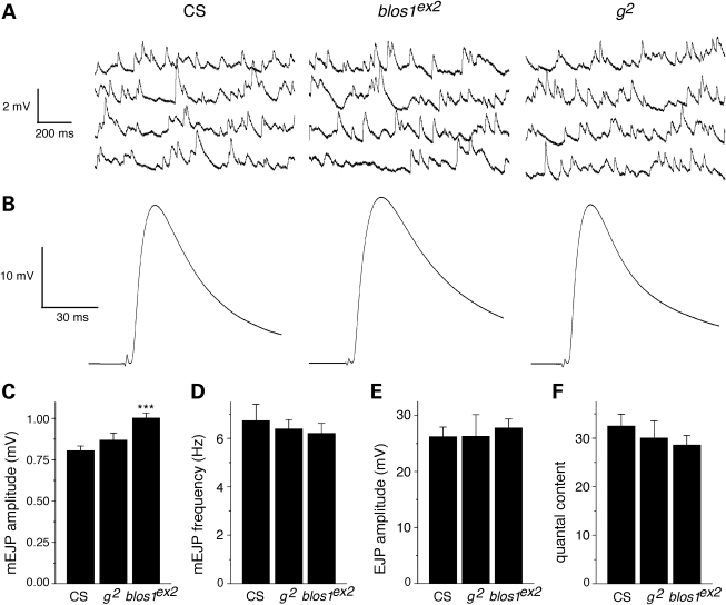 Figure 4.