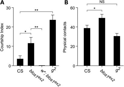 Figure 5.