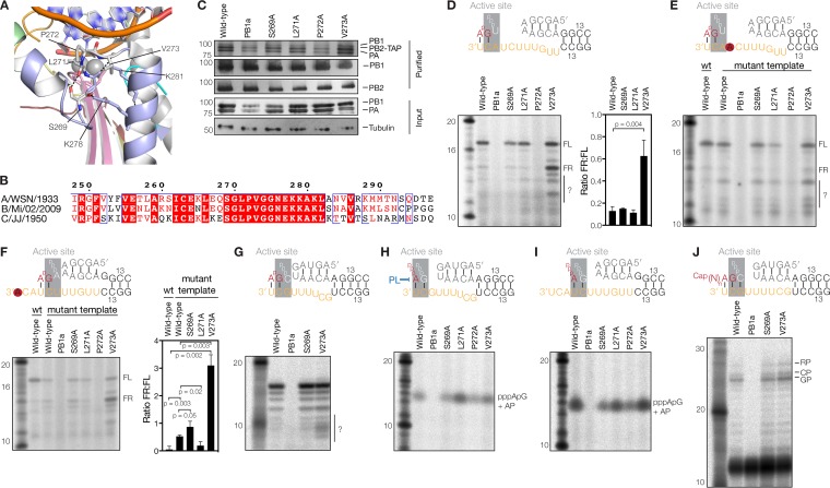 FIG 2