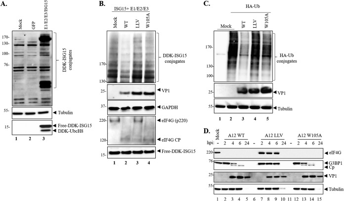 FIG 4