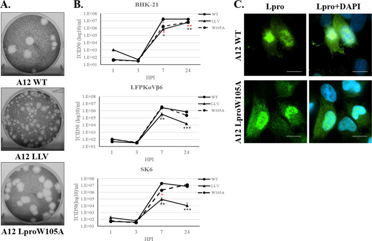 FIG 3