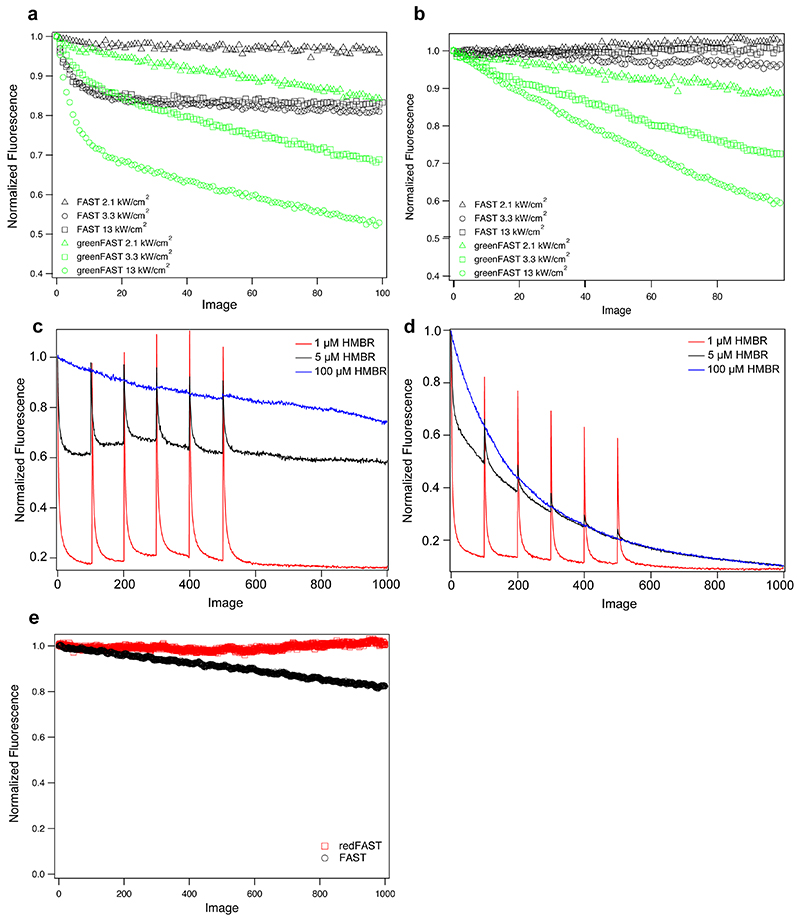 Extended Data Fig. 5