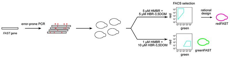 Extended Data Fig. 1