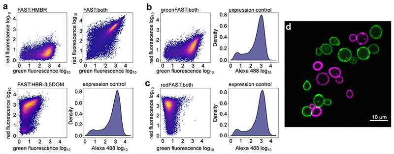 Extended Data Fig. 4