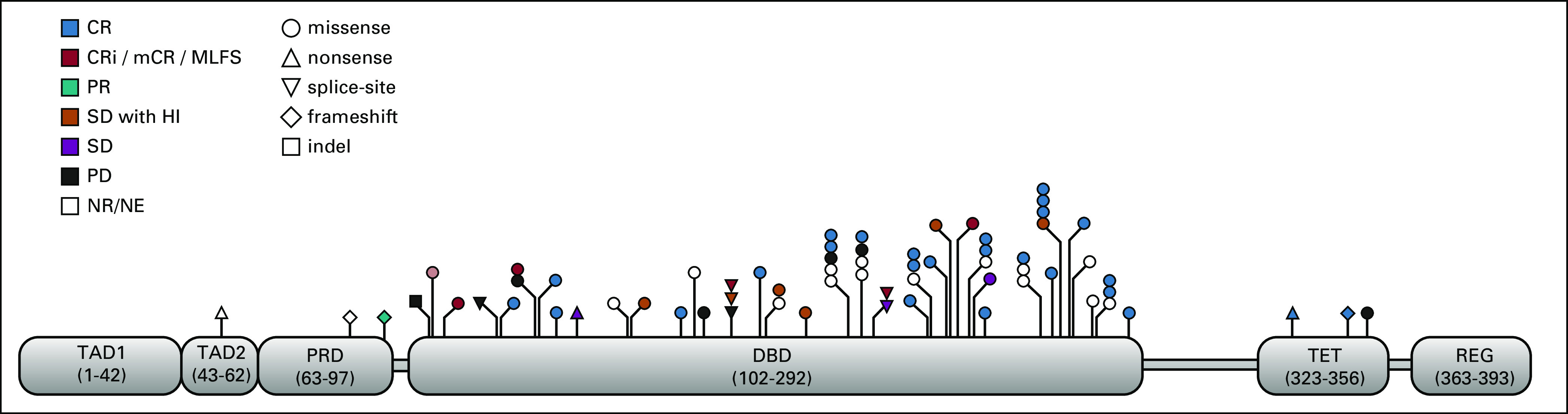 FIG 1.