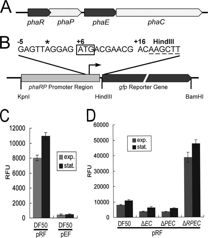 FIG 1